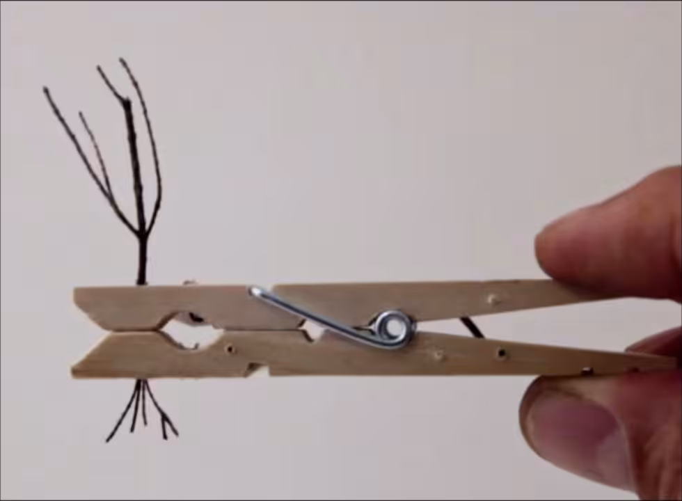 "Root-less"