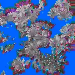 Gray blossoms