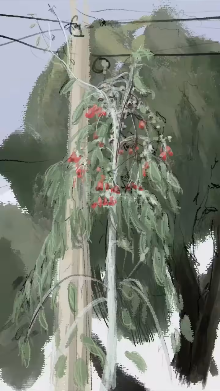 Seen on Sunday #2 - ghostgum 