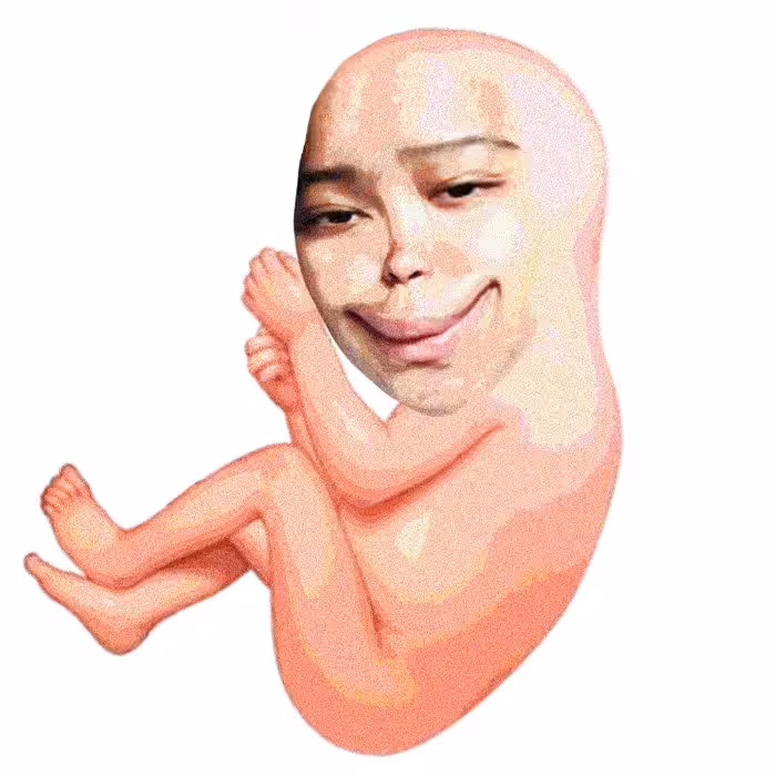 Salawaki as a fetus