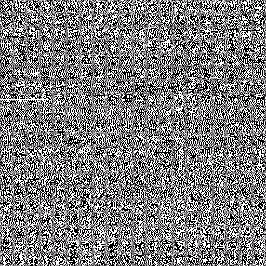 Proof of Work 512x512 Binary Random