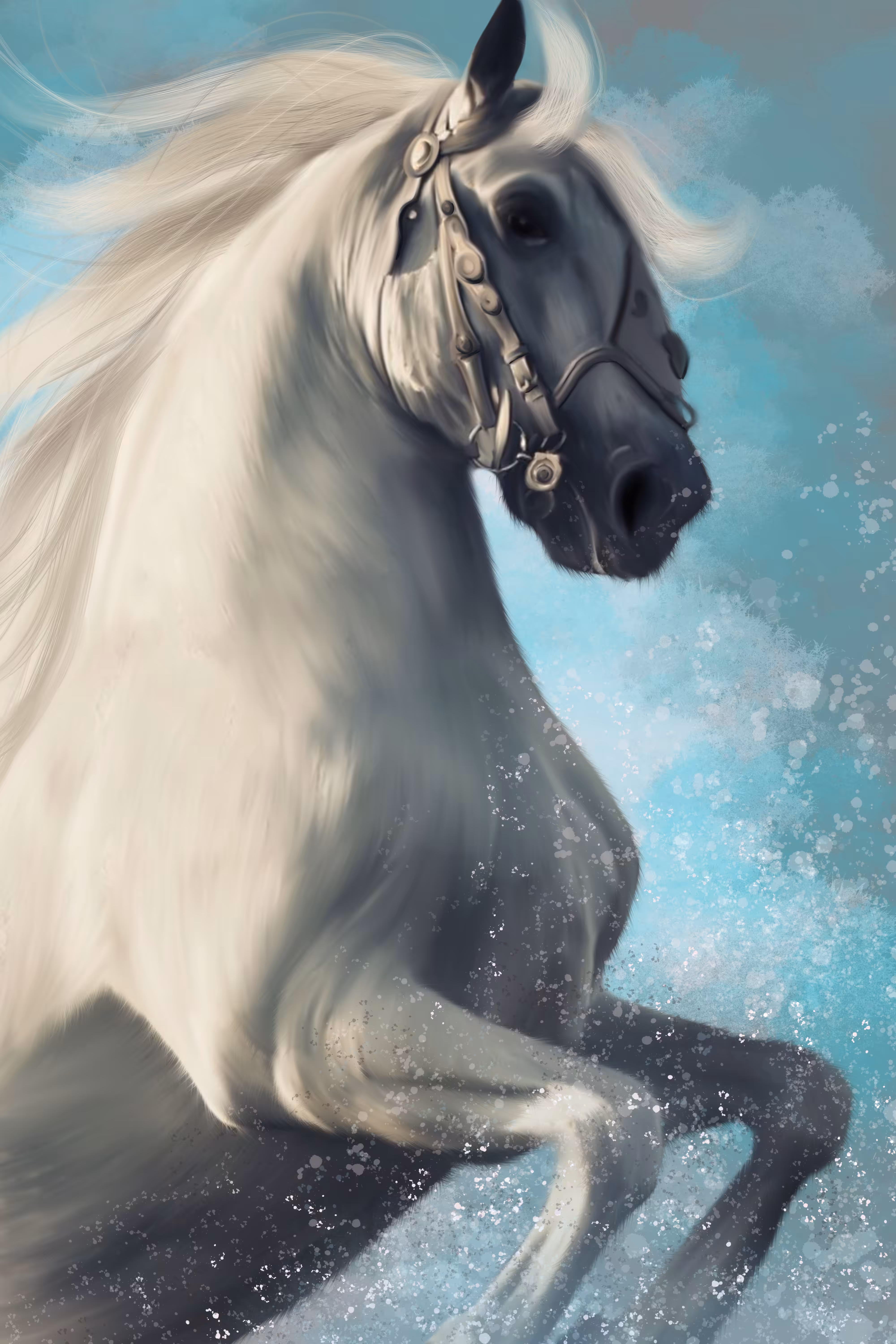 #MAJESTY
