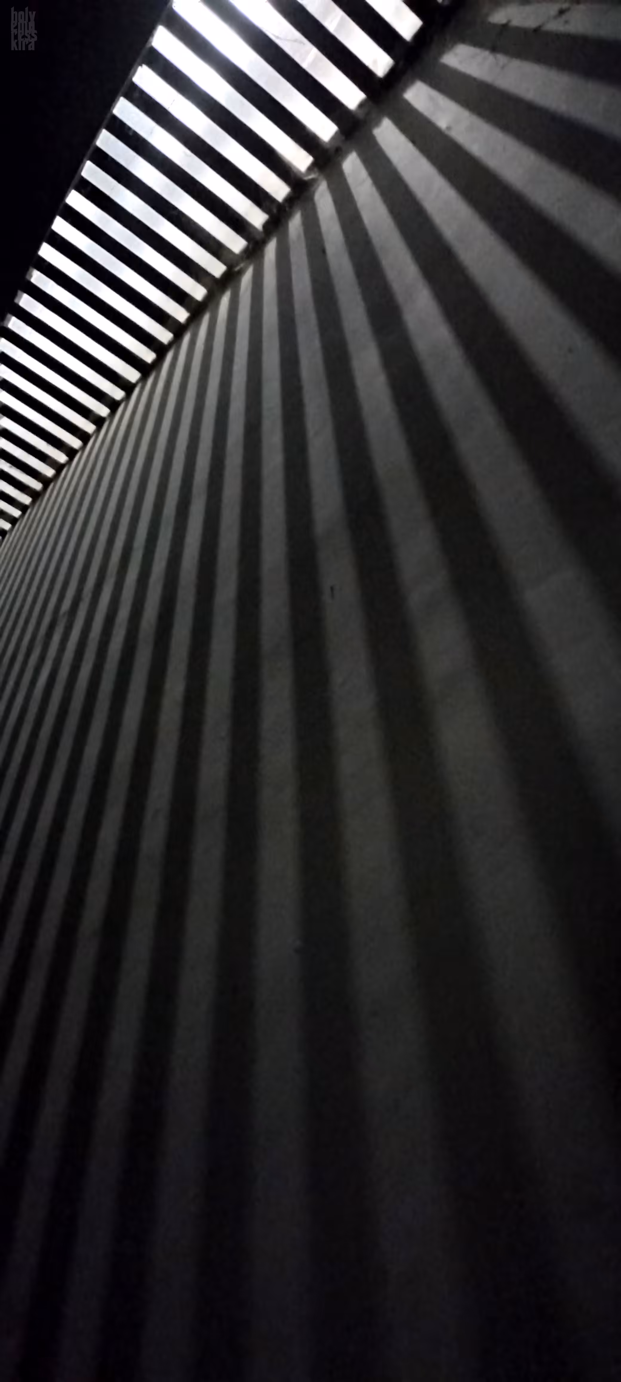 Metropolis