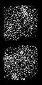 Pattern`s Standardization: PS_38-CTVM_T02x2