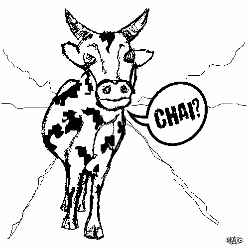 Cow Speaks 'Chai'