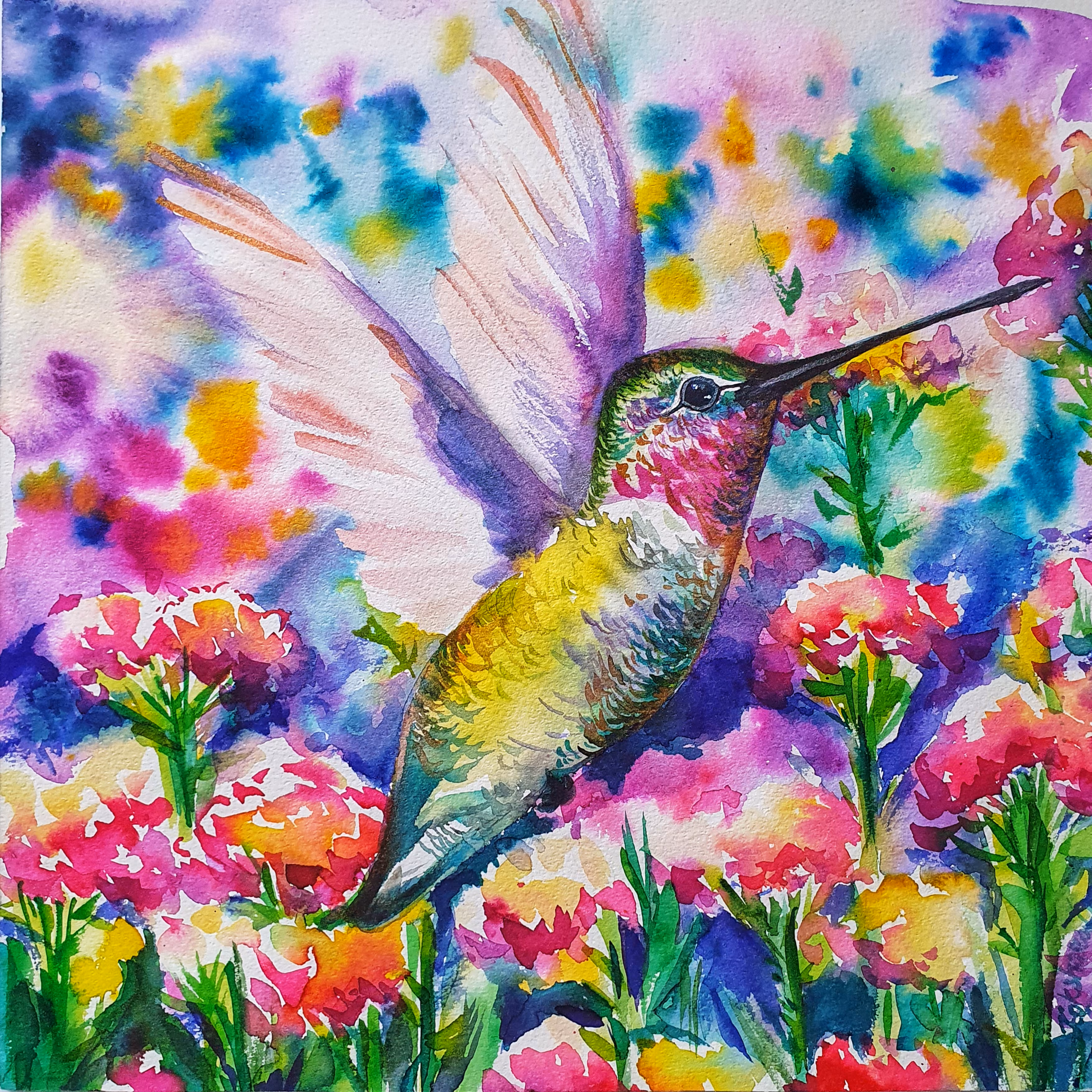 Garden Dreams