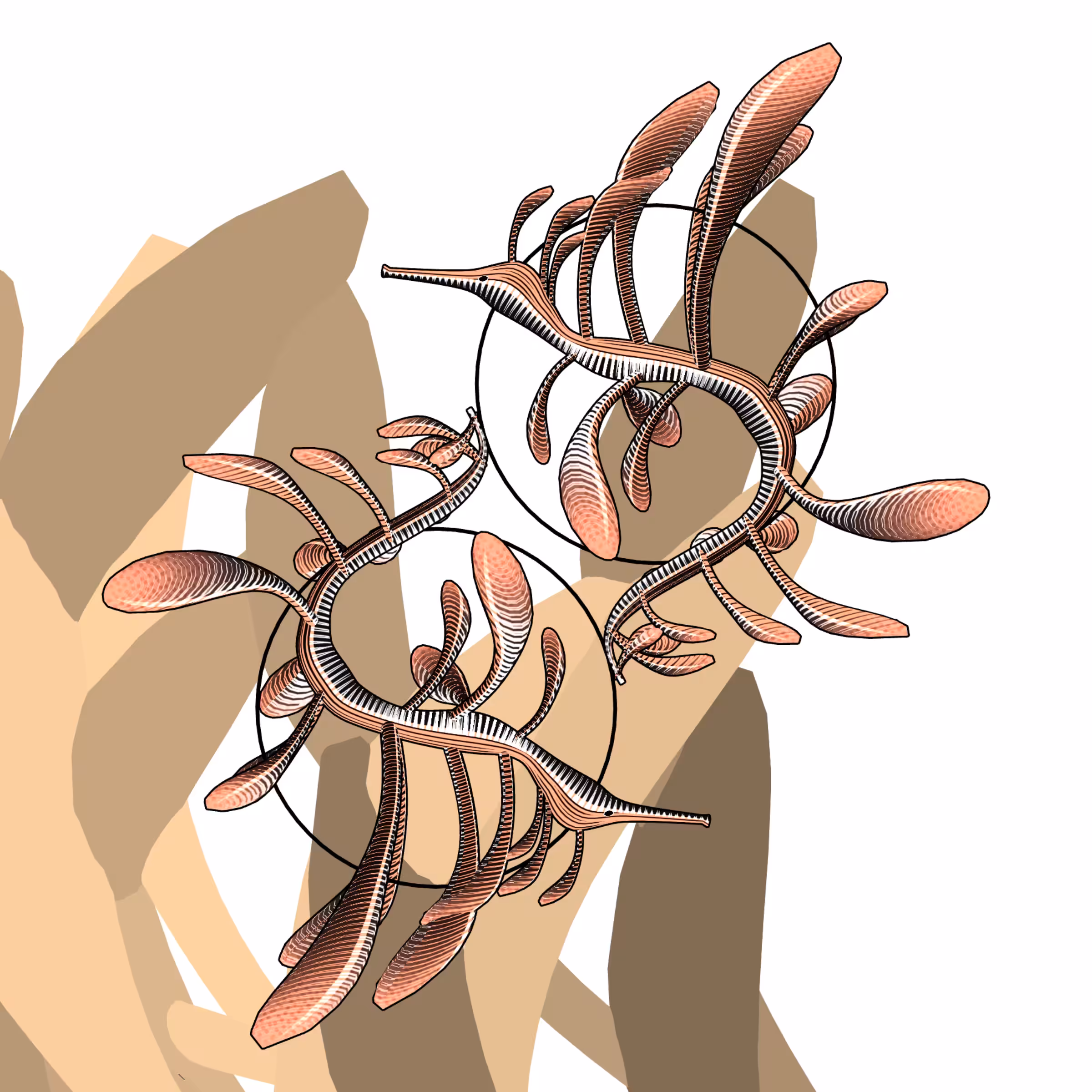 Seadragons #74