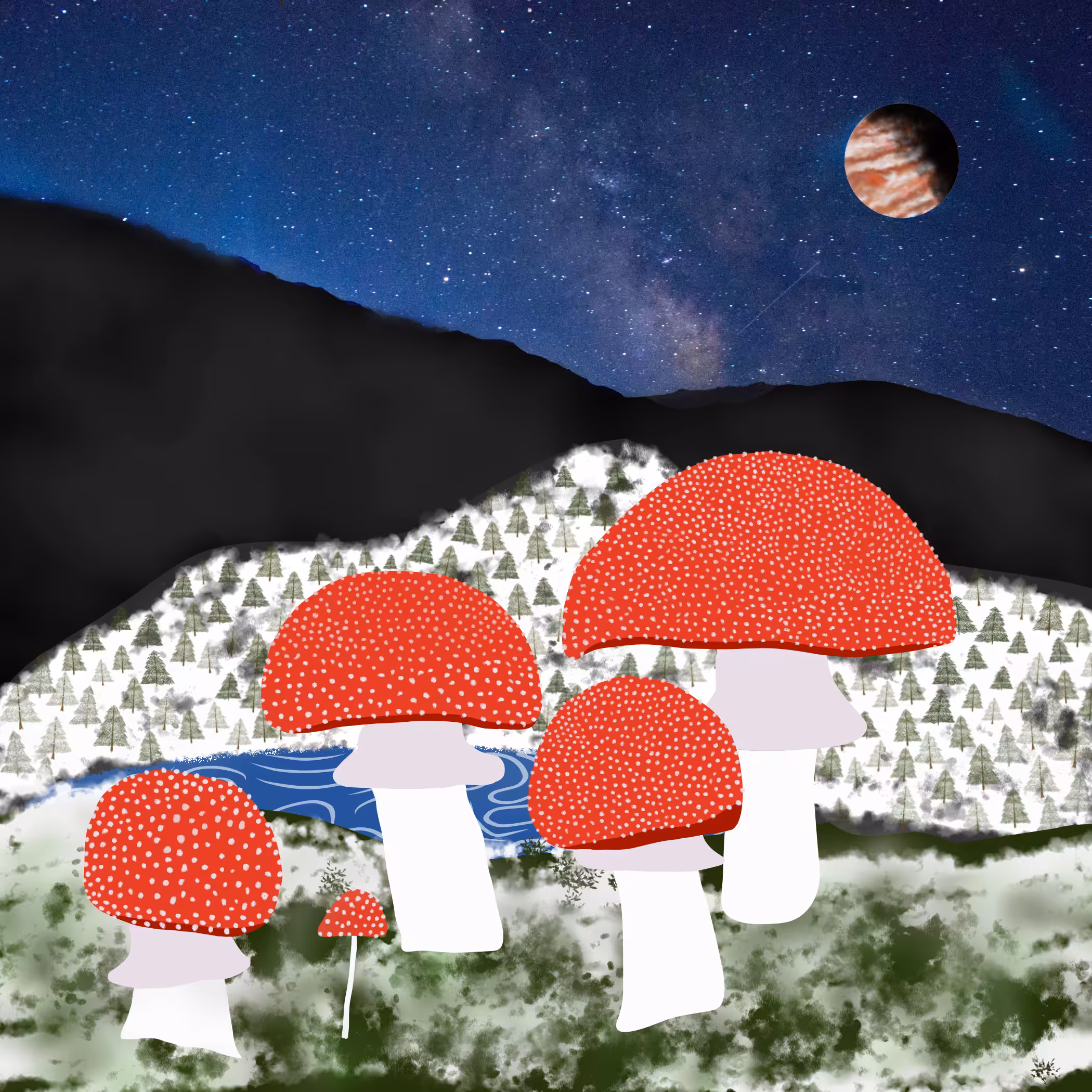 Santa is a Mushroom