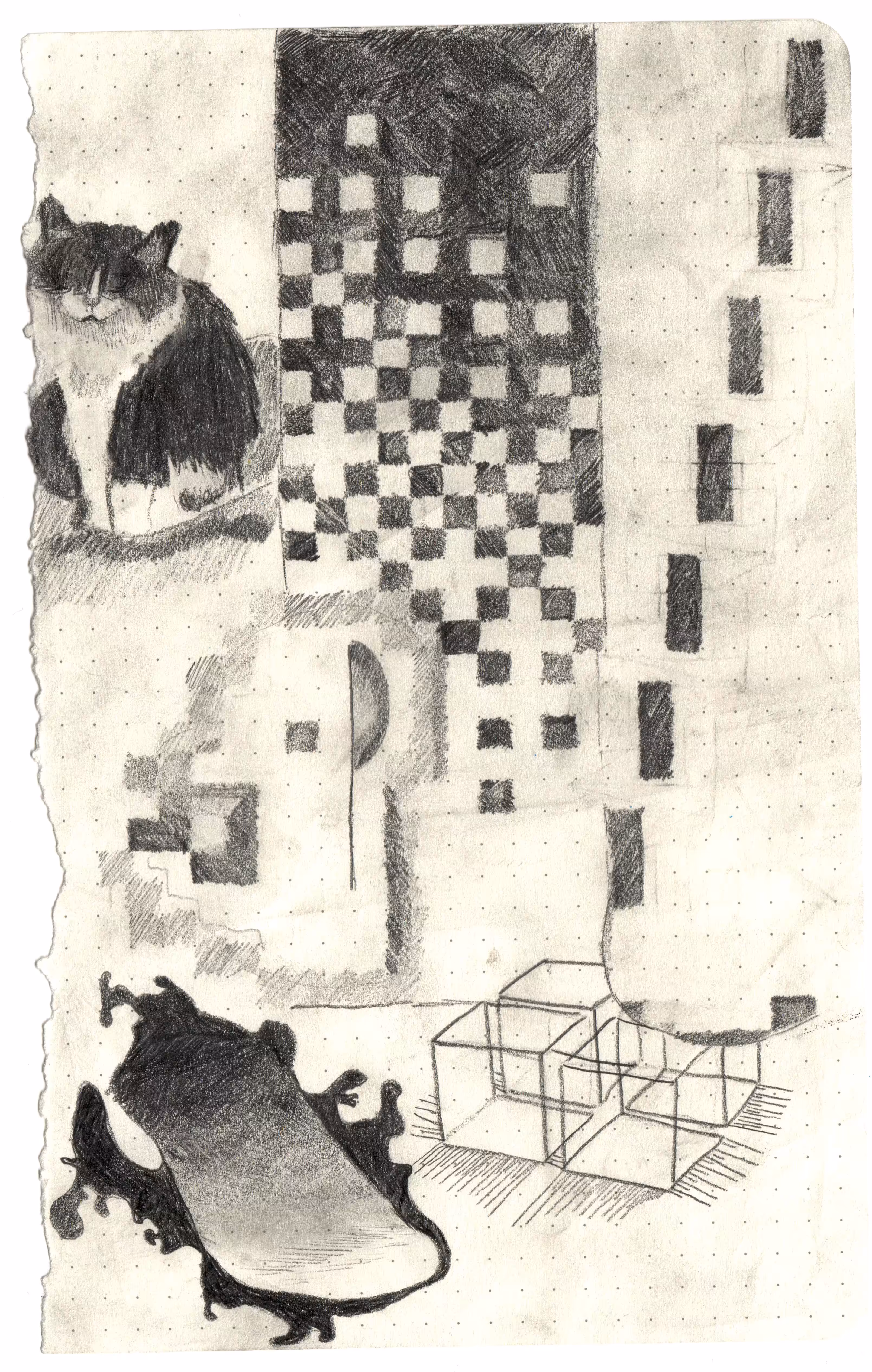 lattice organism