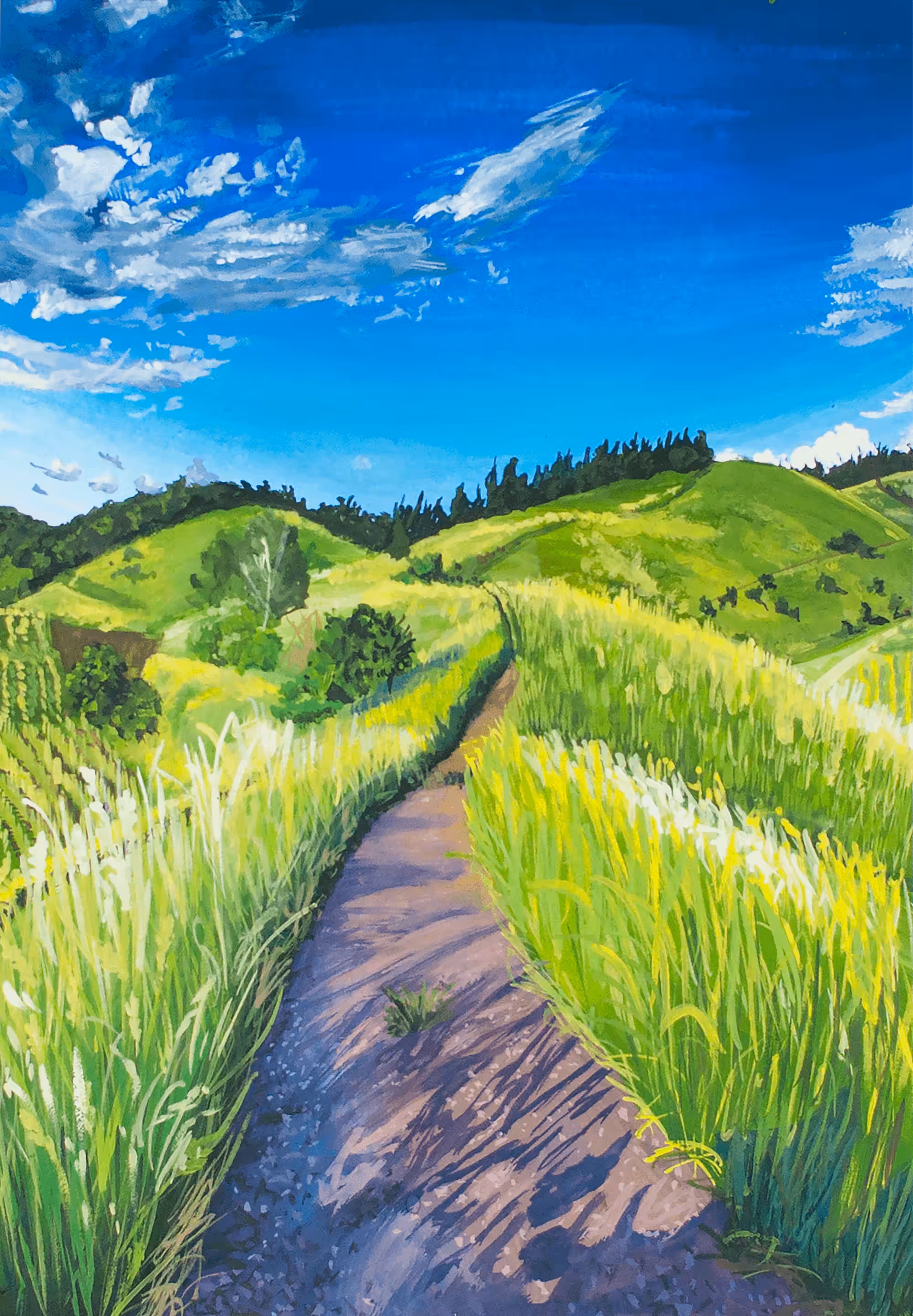 Summer Field