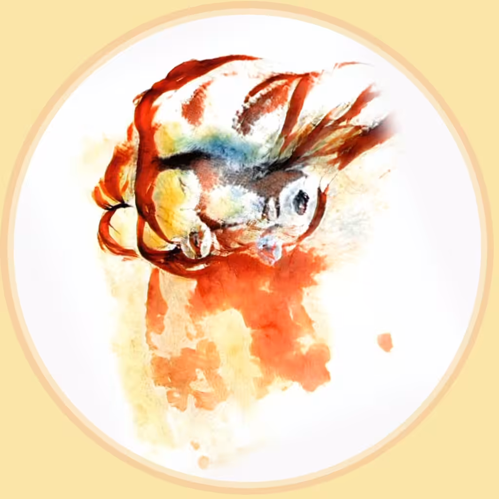 Squid