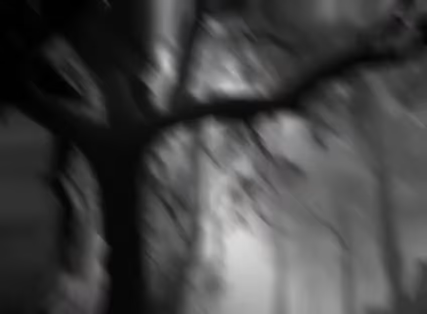 Decoding the Allure of Fear's Artistry