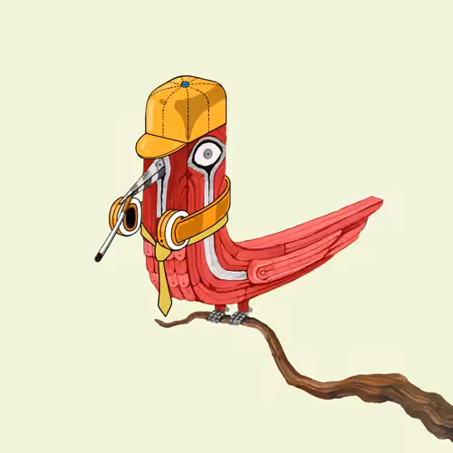 Bolbol, The Bird 098