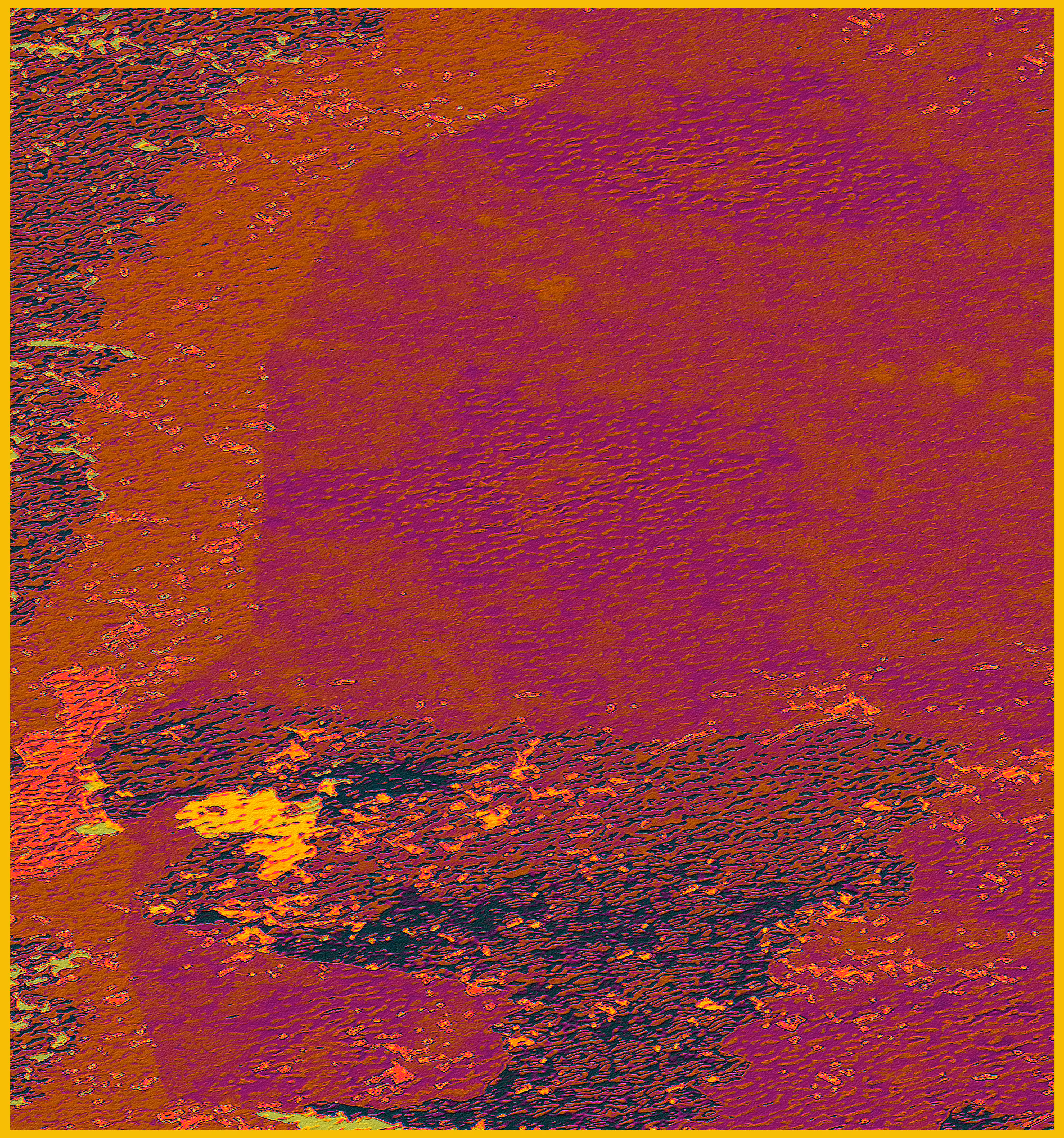 Wildflowers LXXV