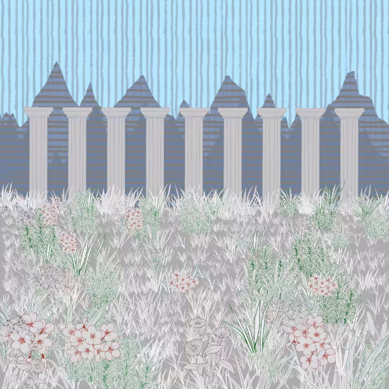 Mountain Meadows #14
