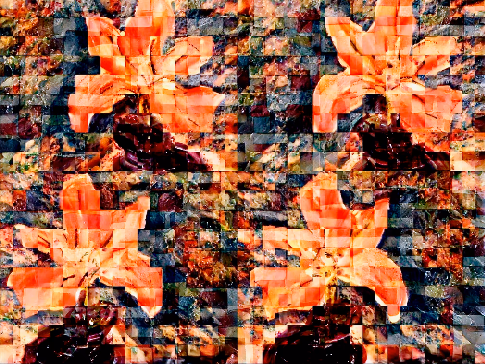 Lunar Lily