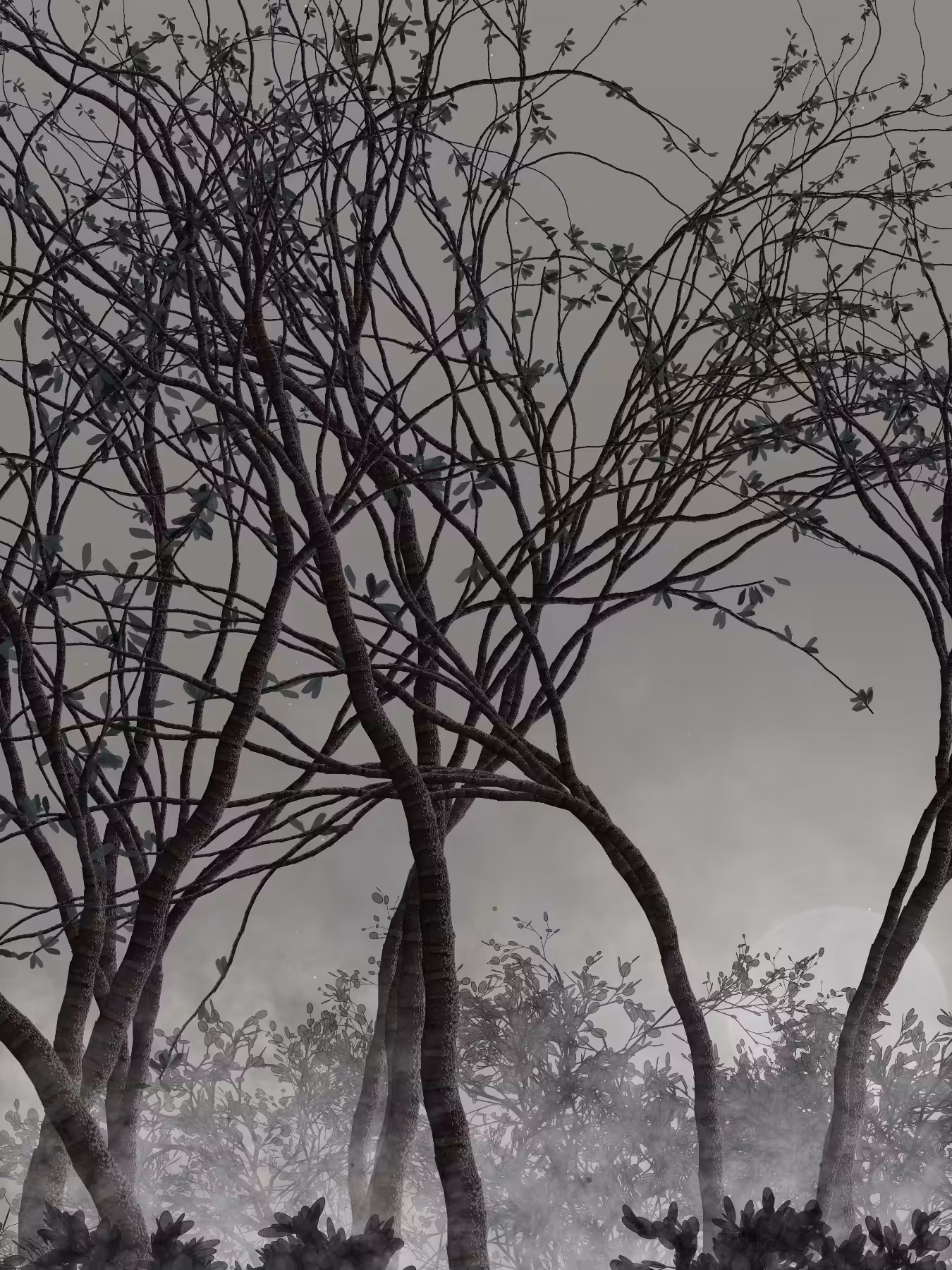 Morning Mist #51