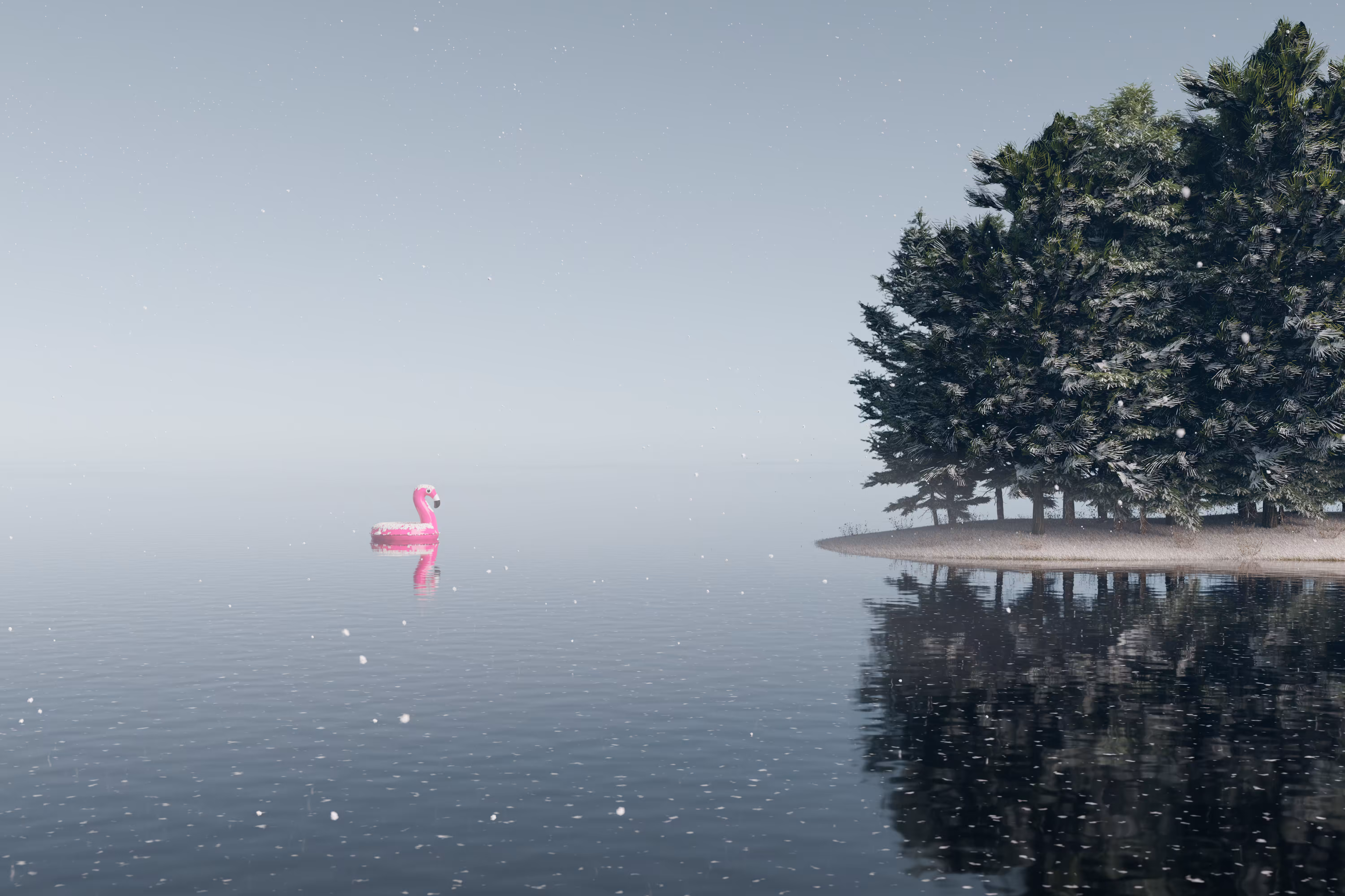 Winter's Haven