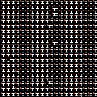 CGA Safari #245