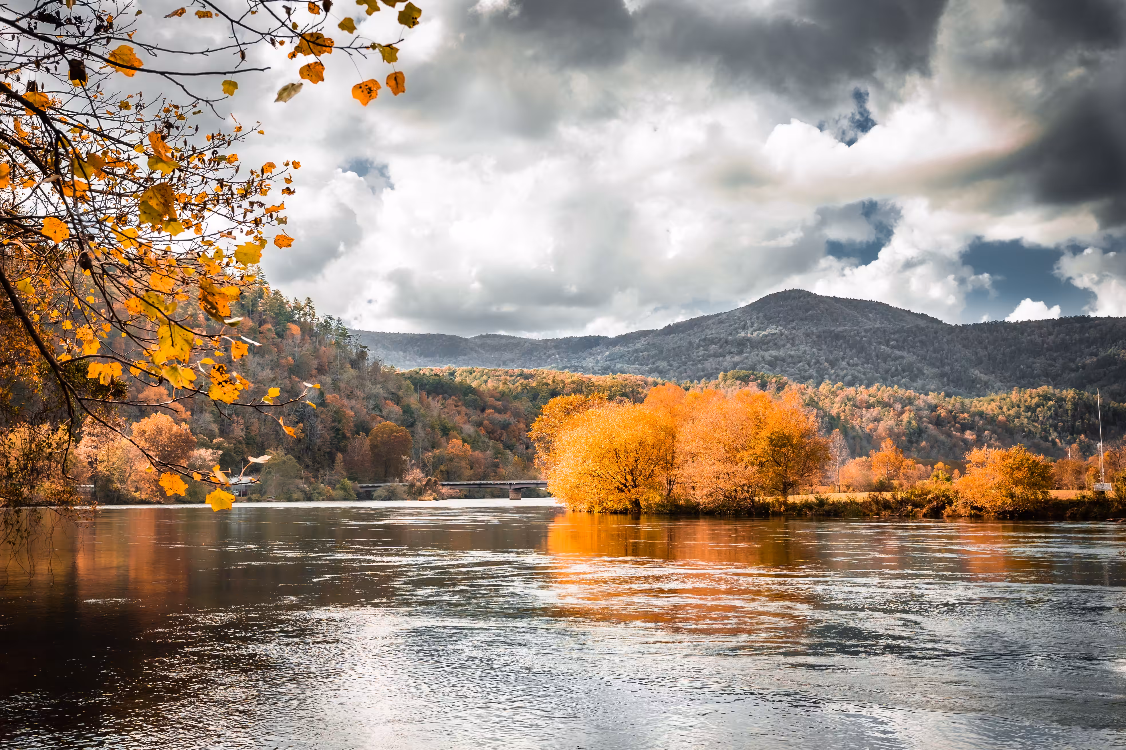 FALL IS COMING