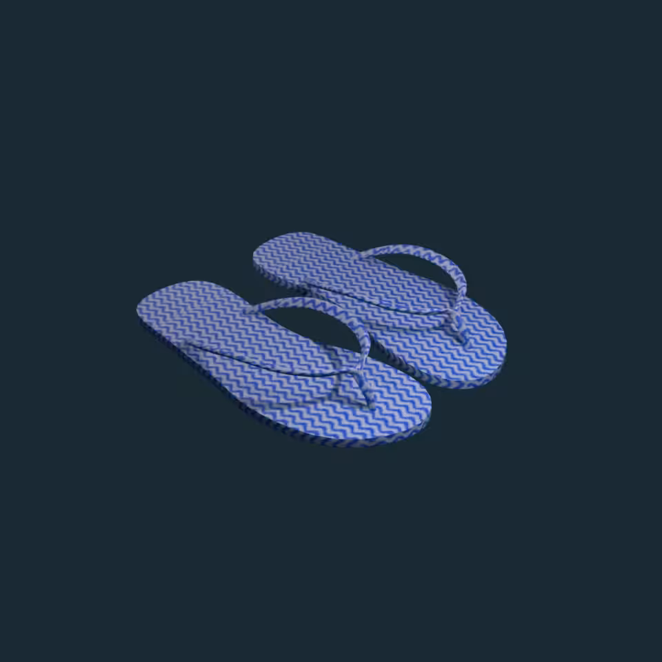 I PROMISE TO FAIL | Object #5 : Chinelo 1