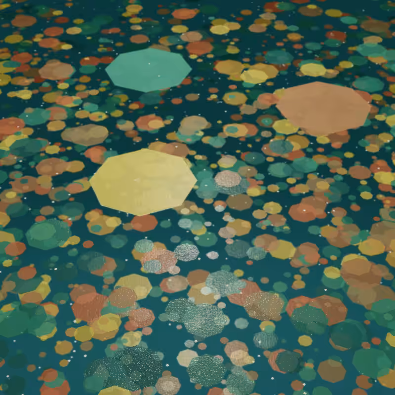 Pond #71