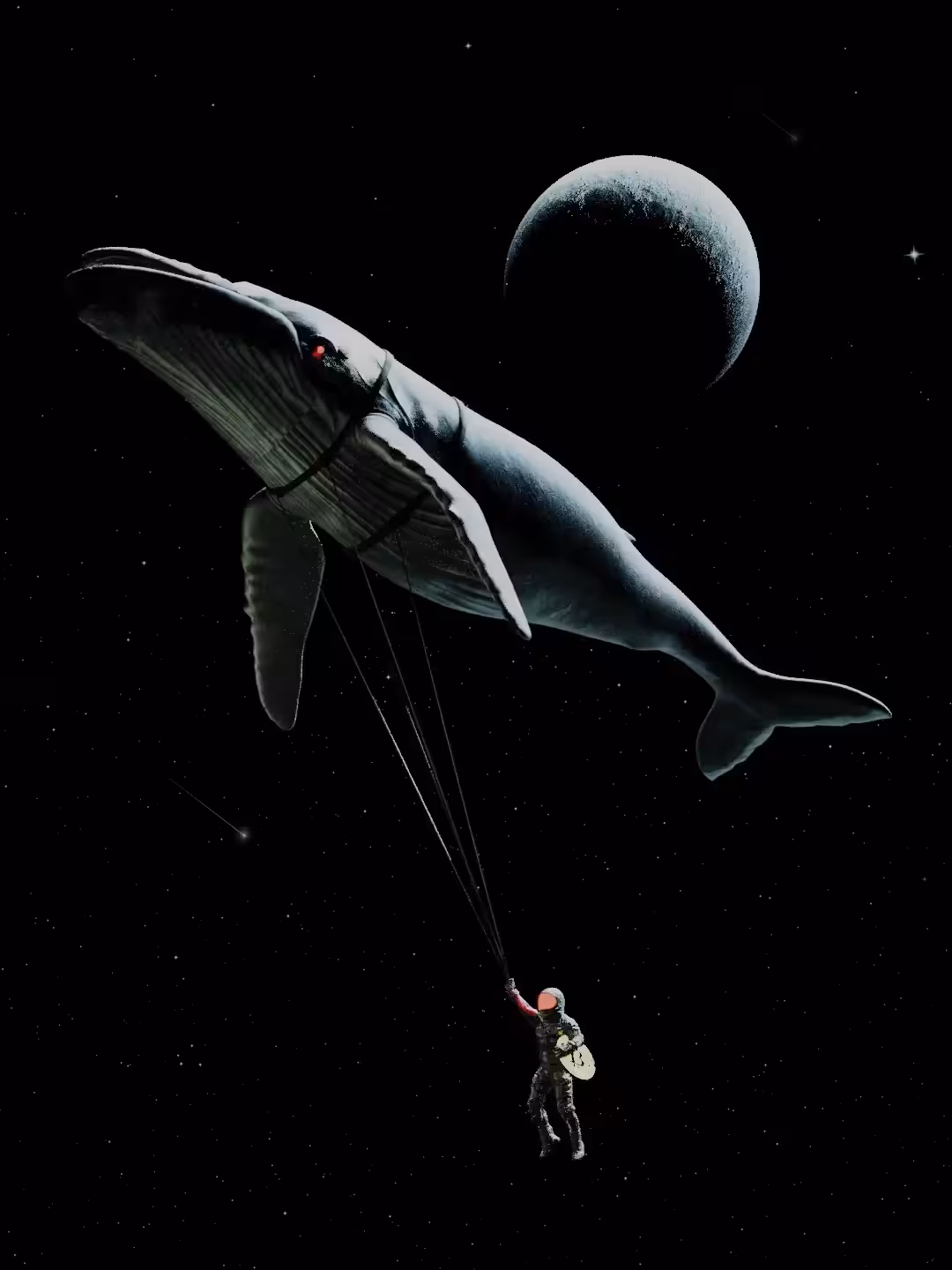 Hitching A Ride #1