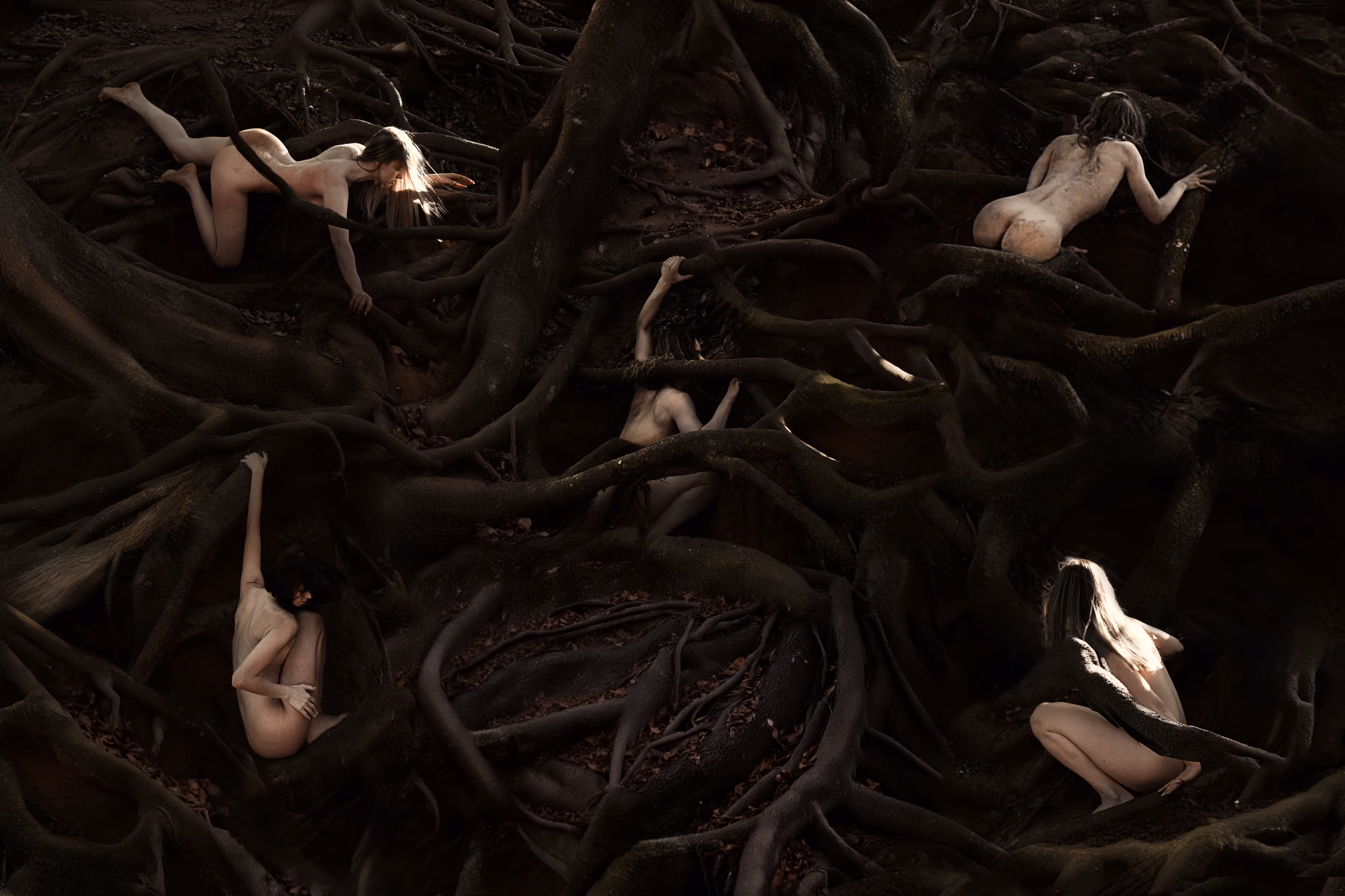 ROOTS