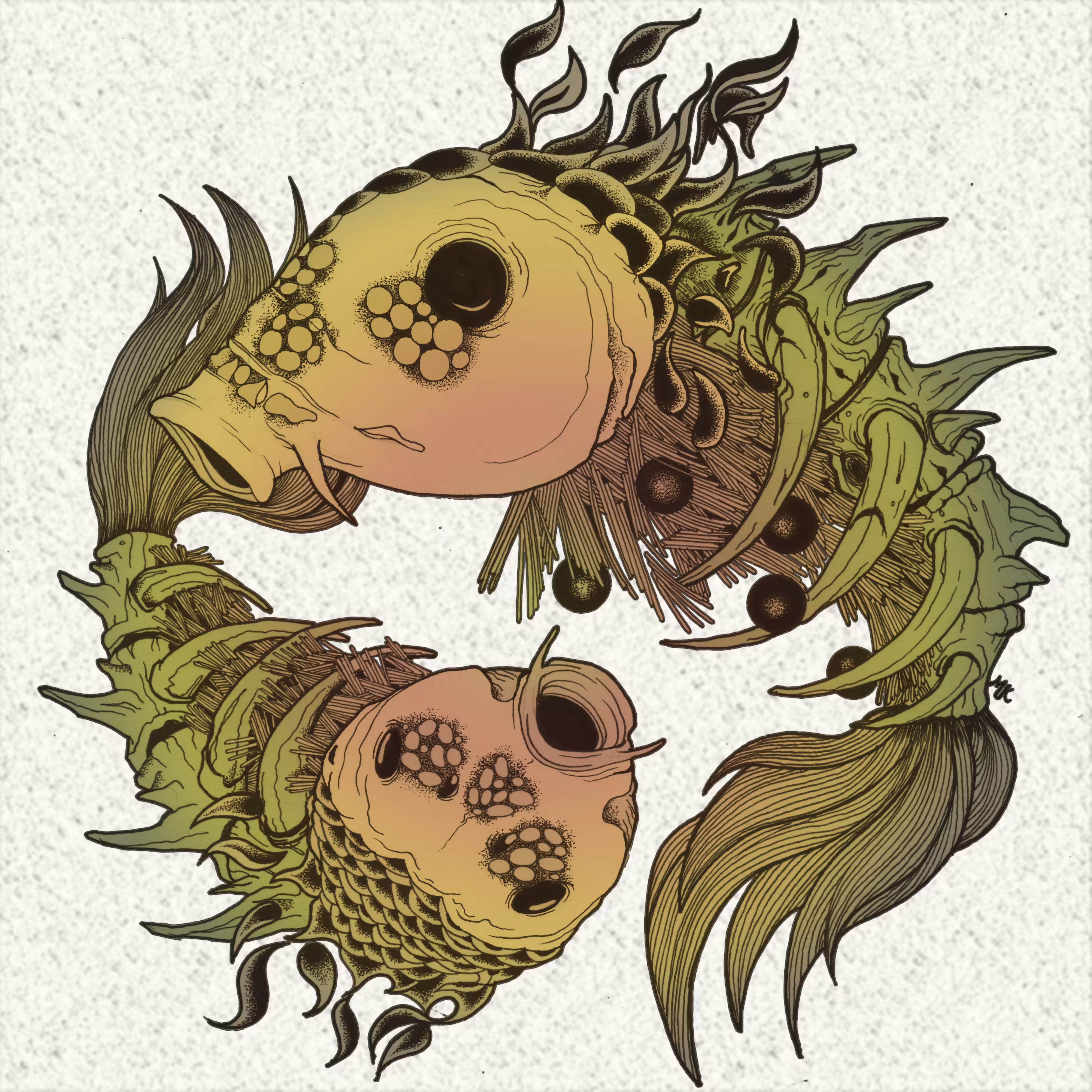 conception