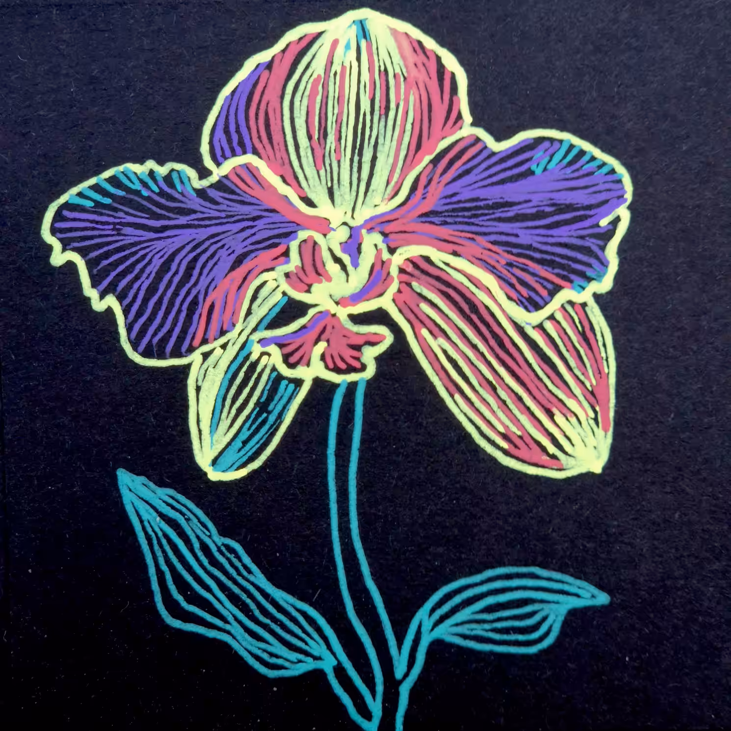 Orchid