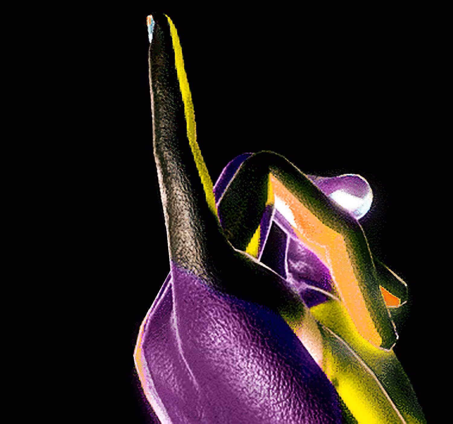 'THE LAST FINGER'  (🖕 edit)
