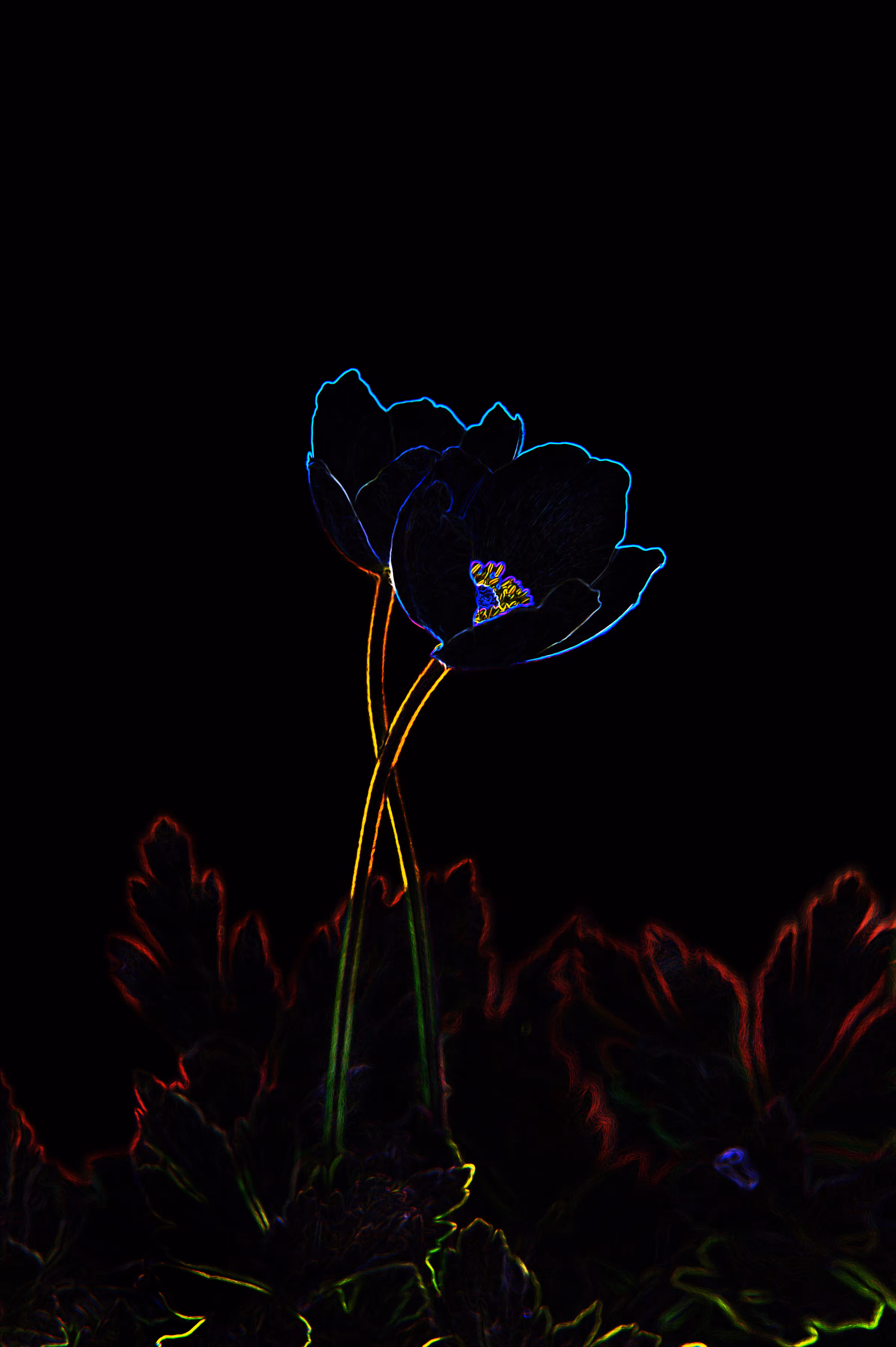 Flowerlove