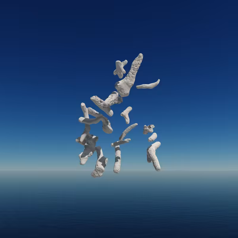 Bone Work (Gulf of Mexico) 2022 #79