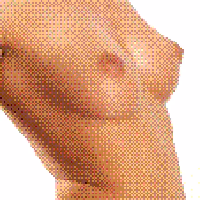 Censored Fragments 312.45