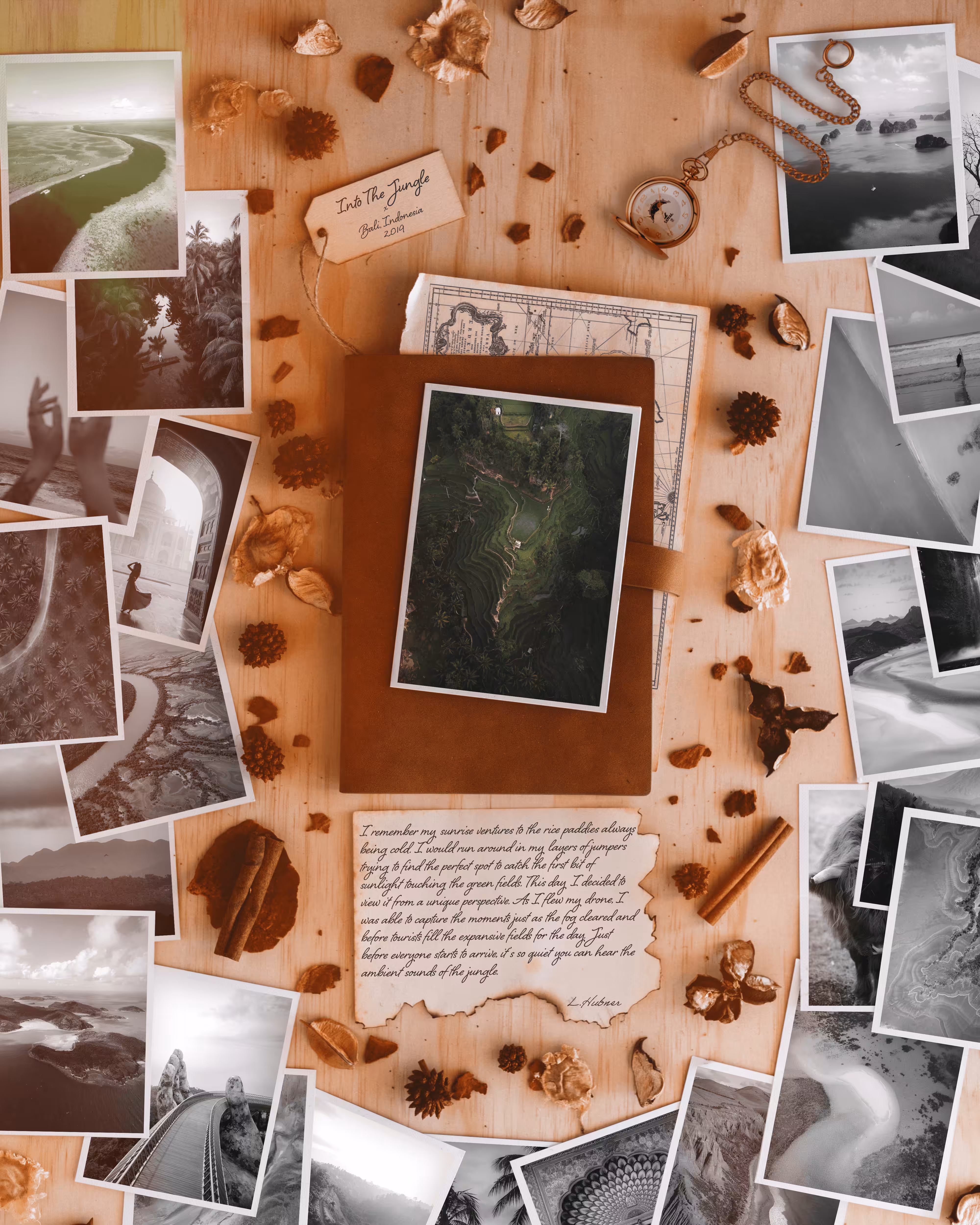 #11 The Into The Jungle Story