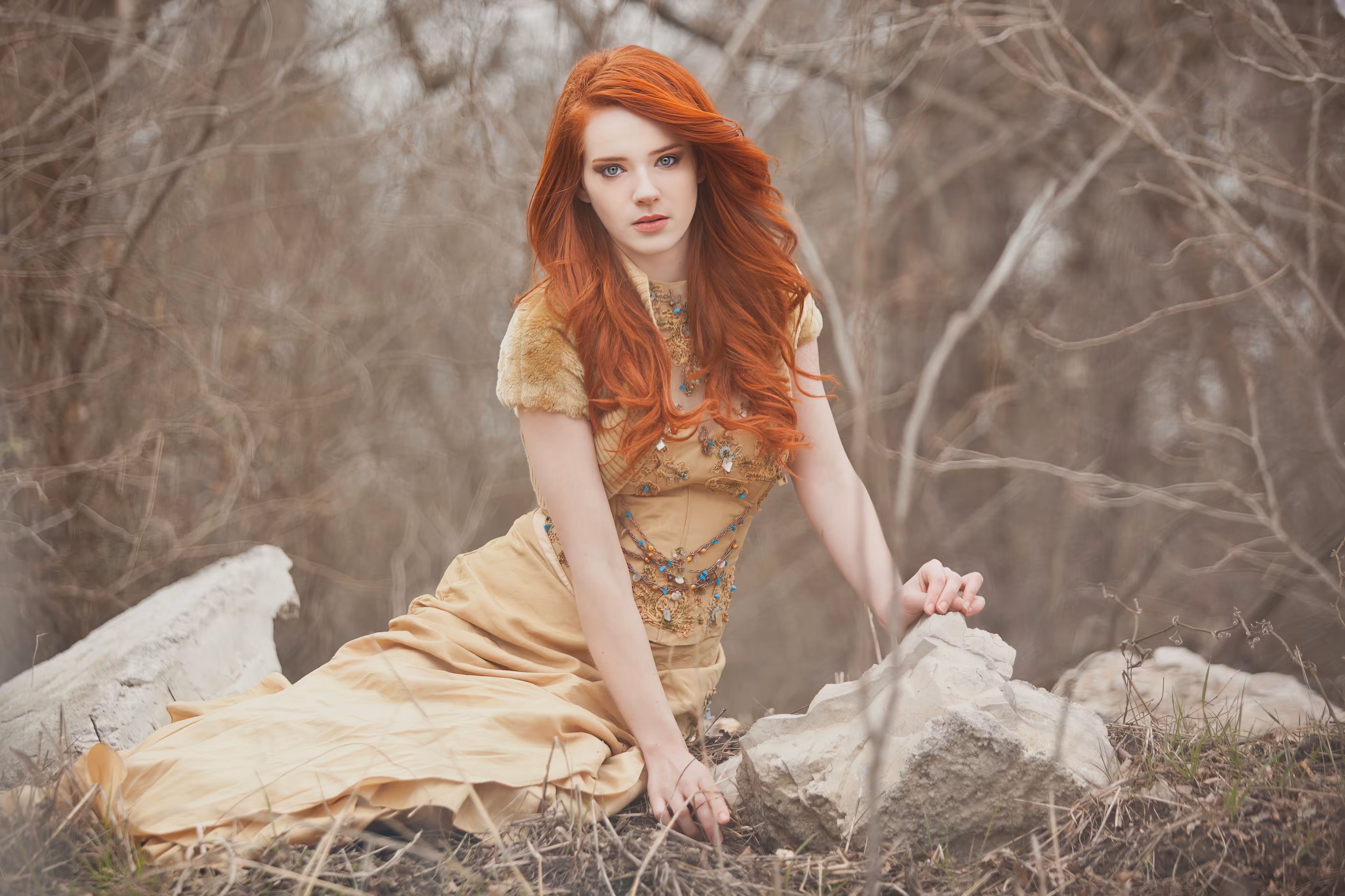 In the Midst of the Dead Forest