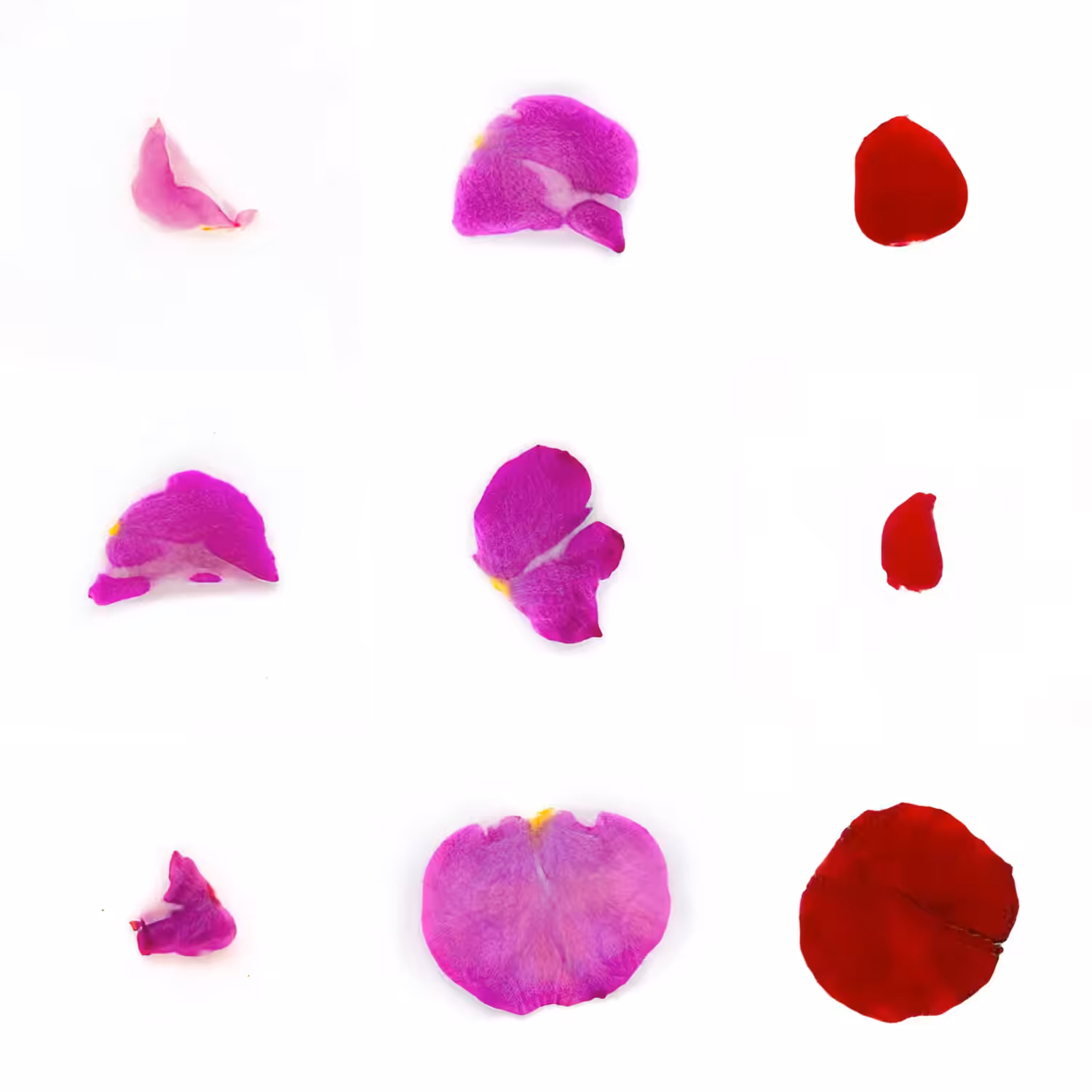 Infinite Petals 3x3#3068