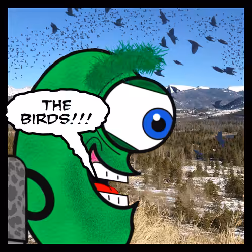 The Veggies (OpeSea): What? 