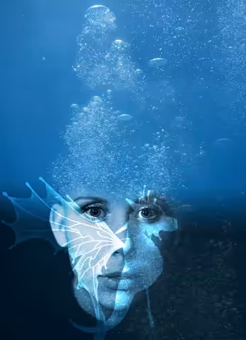 / ANIMATED SERIE / "seahorse"