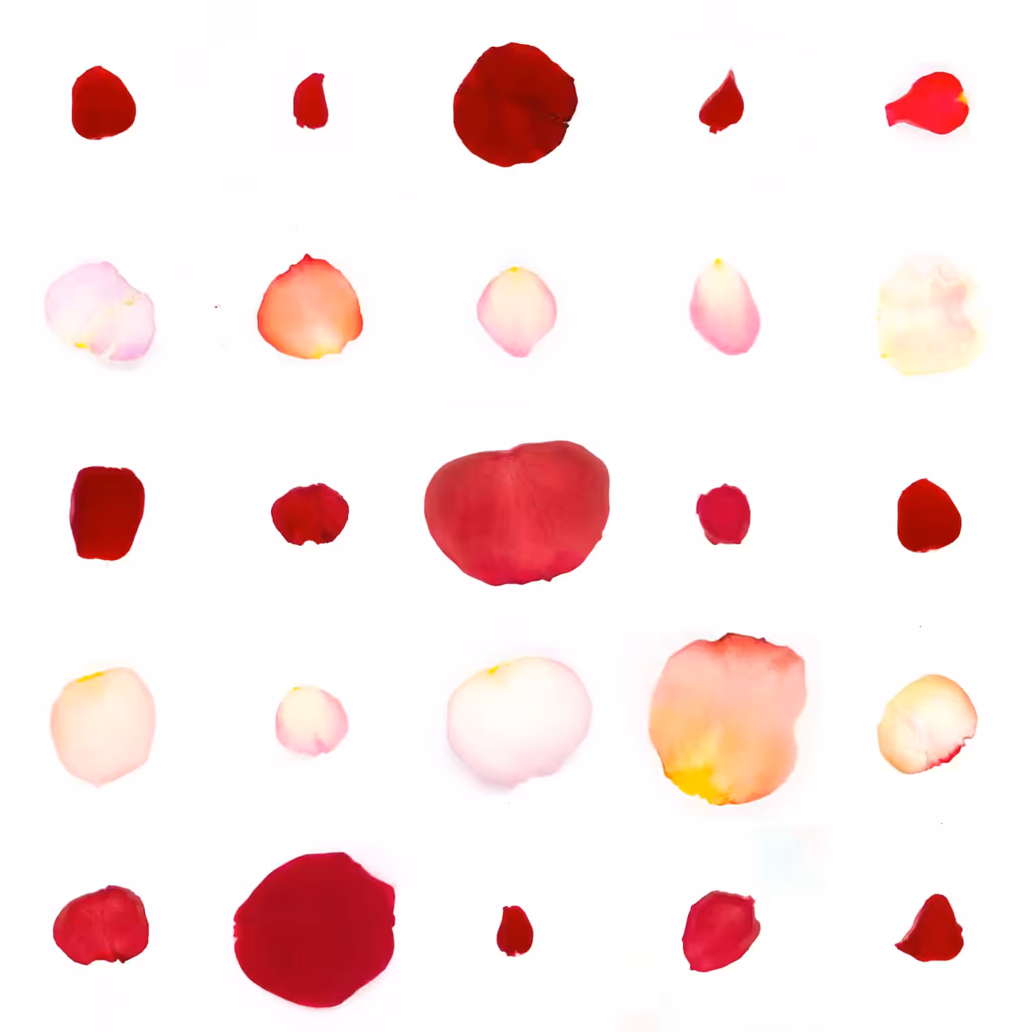 Infinite Petals 5x5#20766