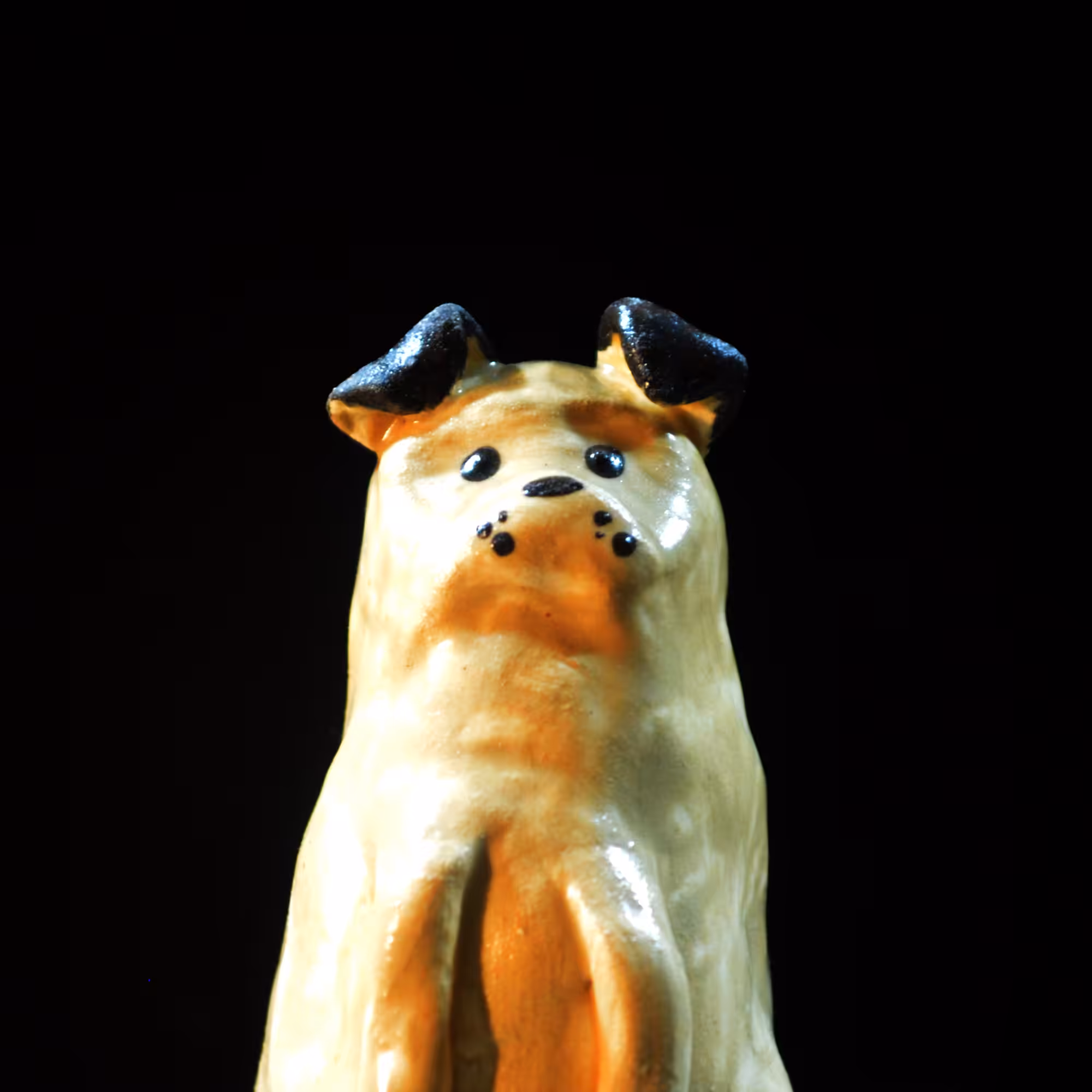 pfpup#0019