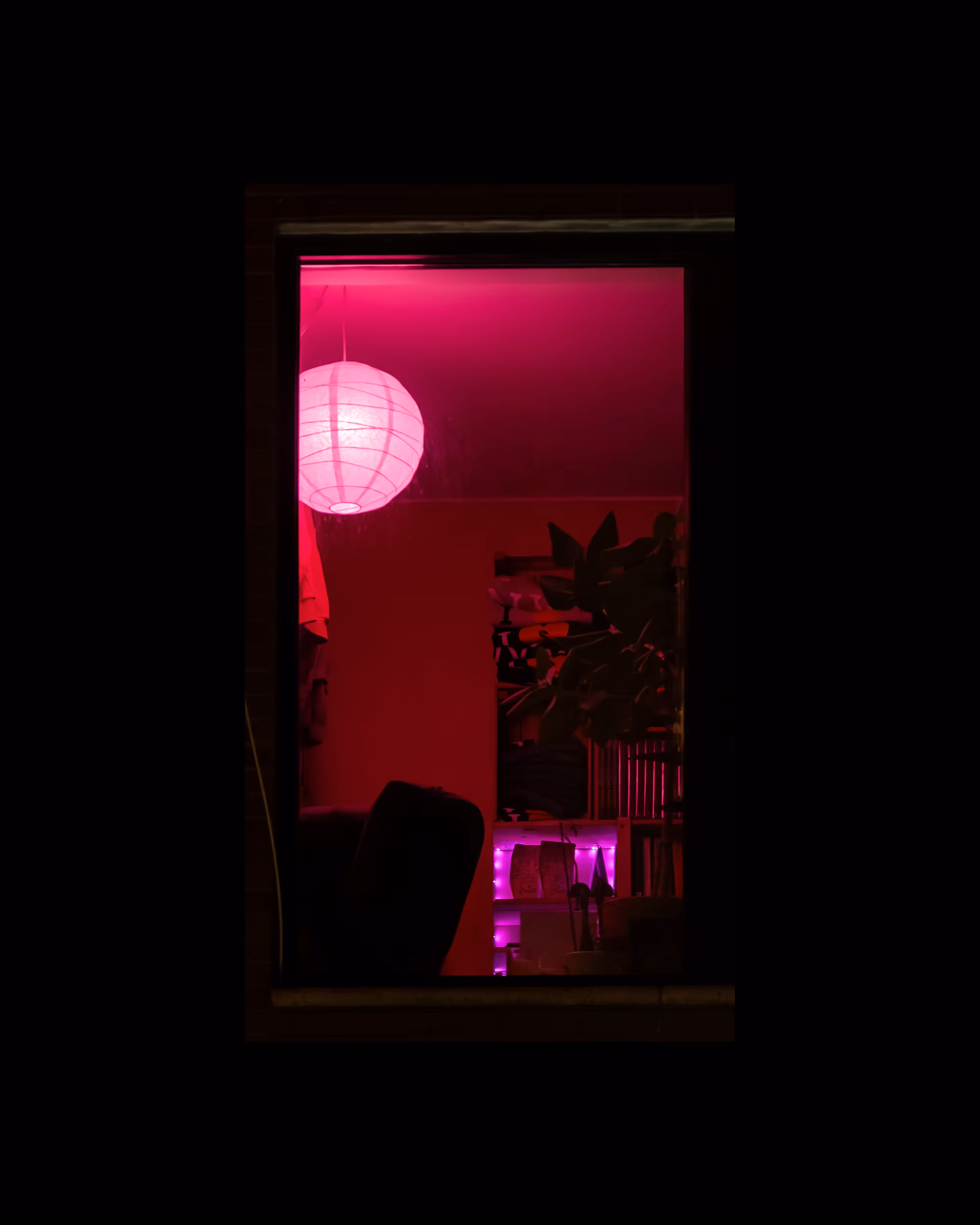 WINDOWS // NYC: WINDOW 672