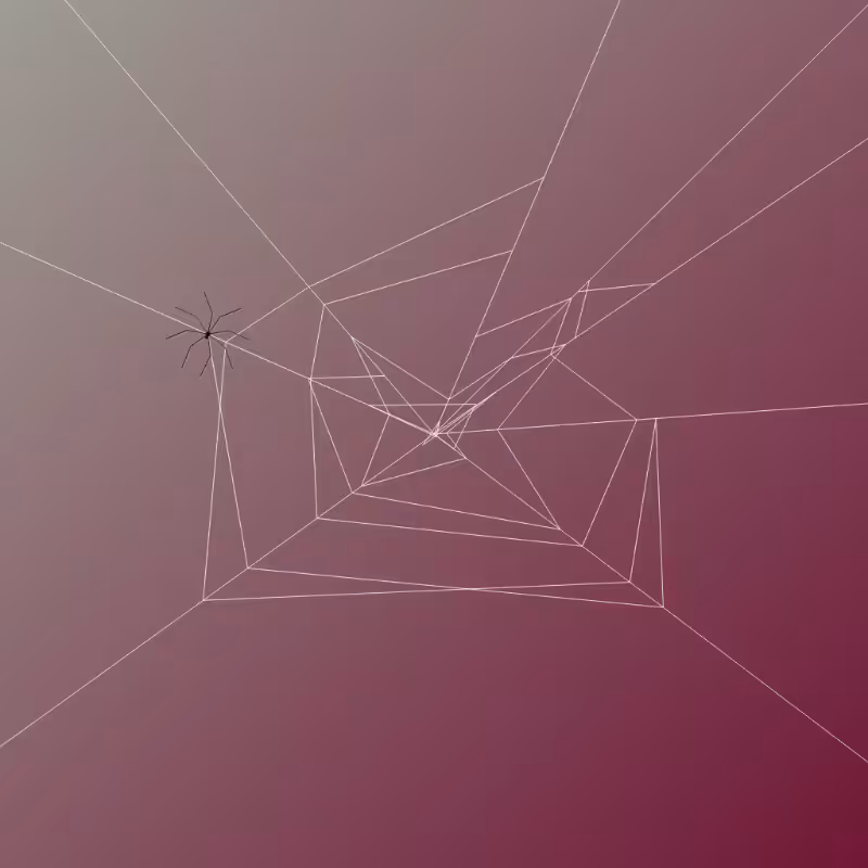 Weaving Spiders #14