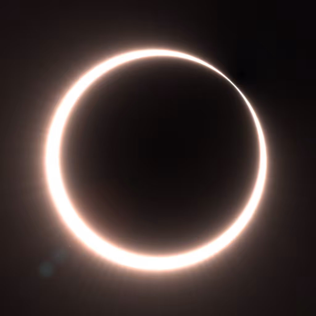 Totality #191