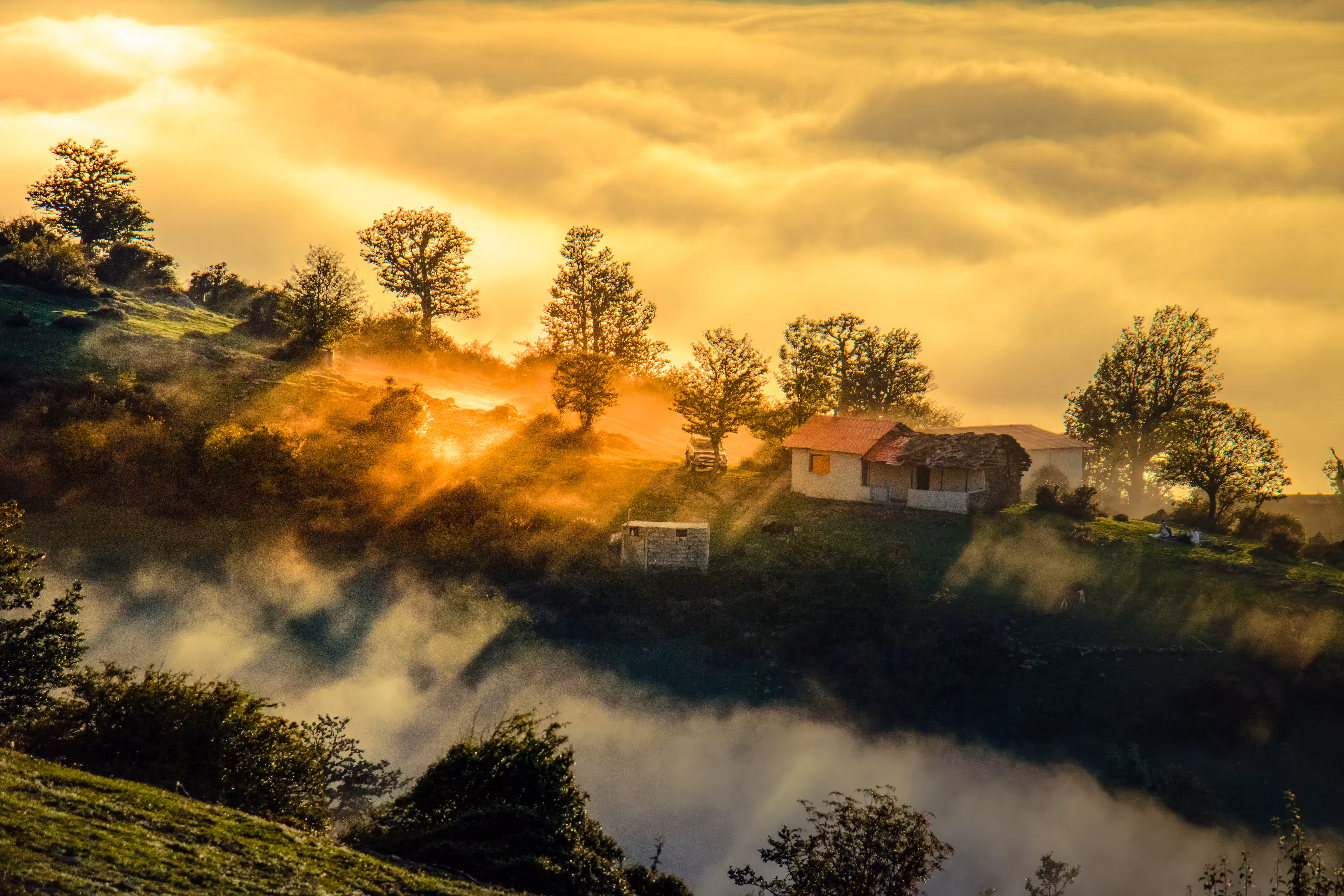 Dream sunset