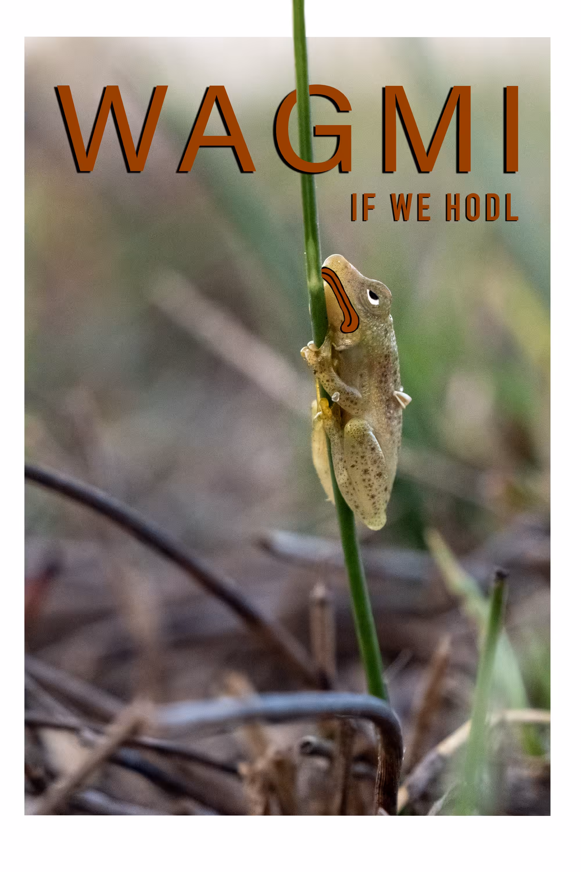 WAGMI If We HODL