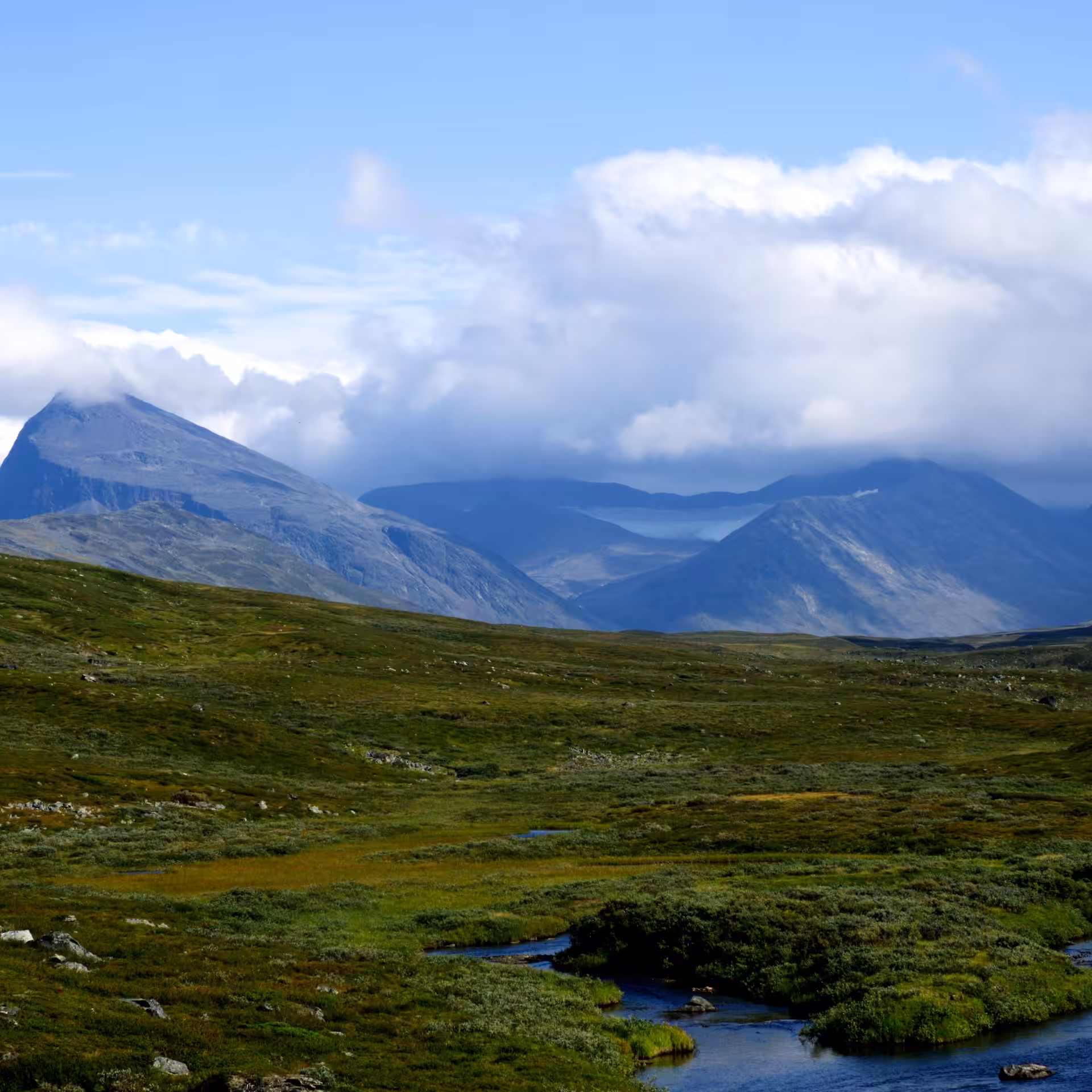 Fjällscape.9