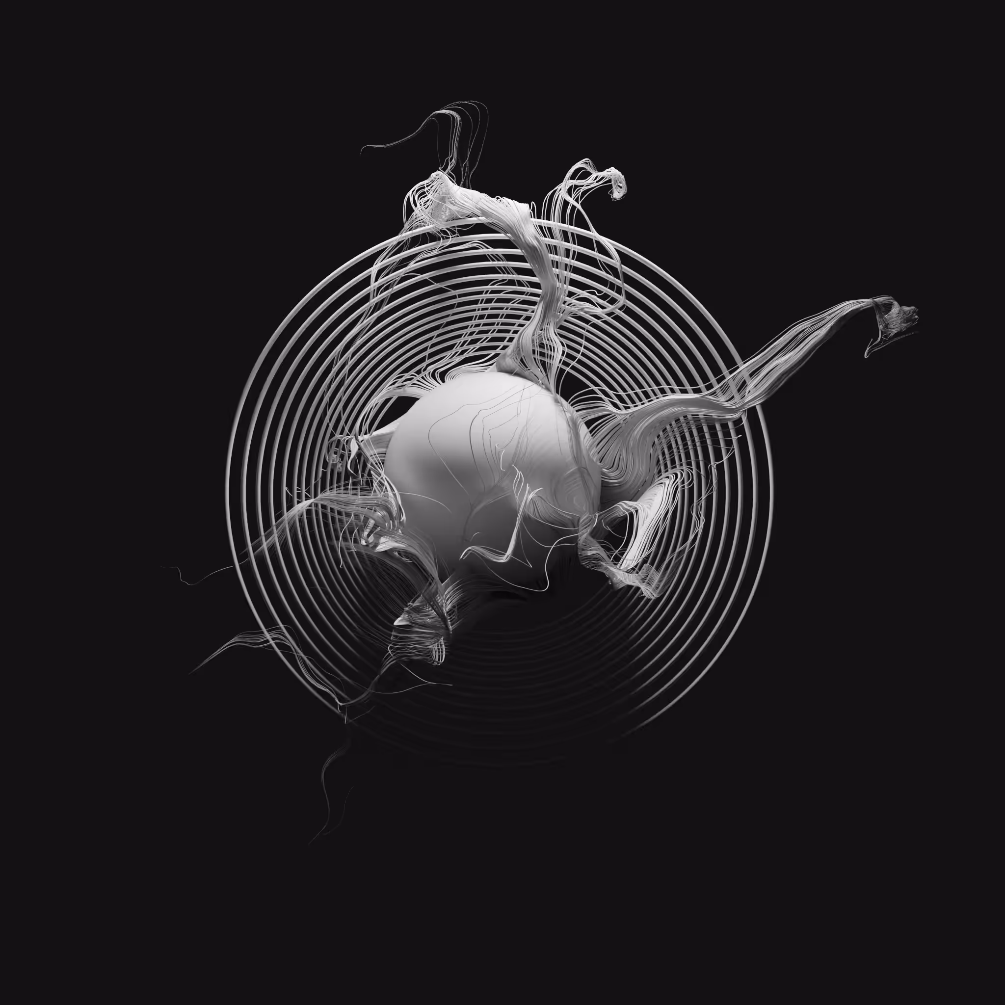 data loop
