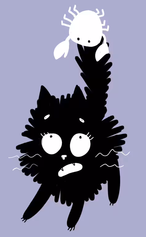 CANCERPURR [ZODIACATS 4/12]