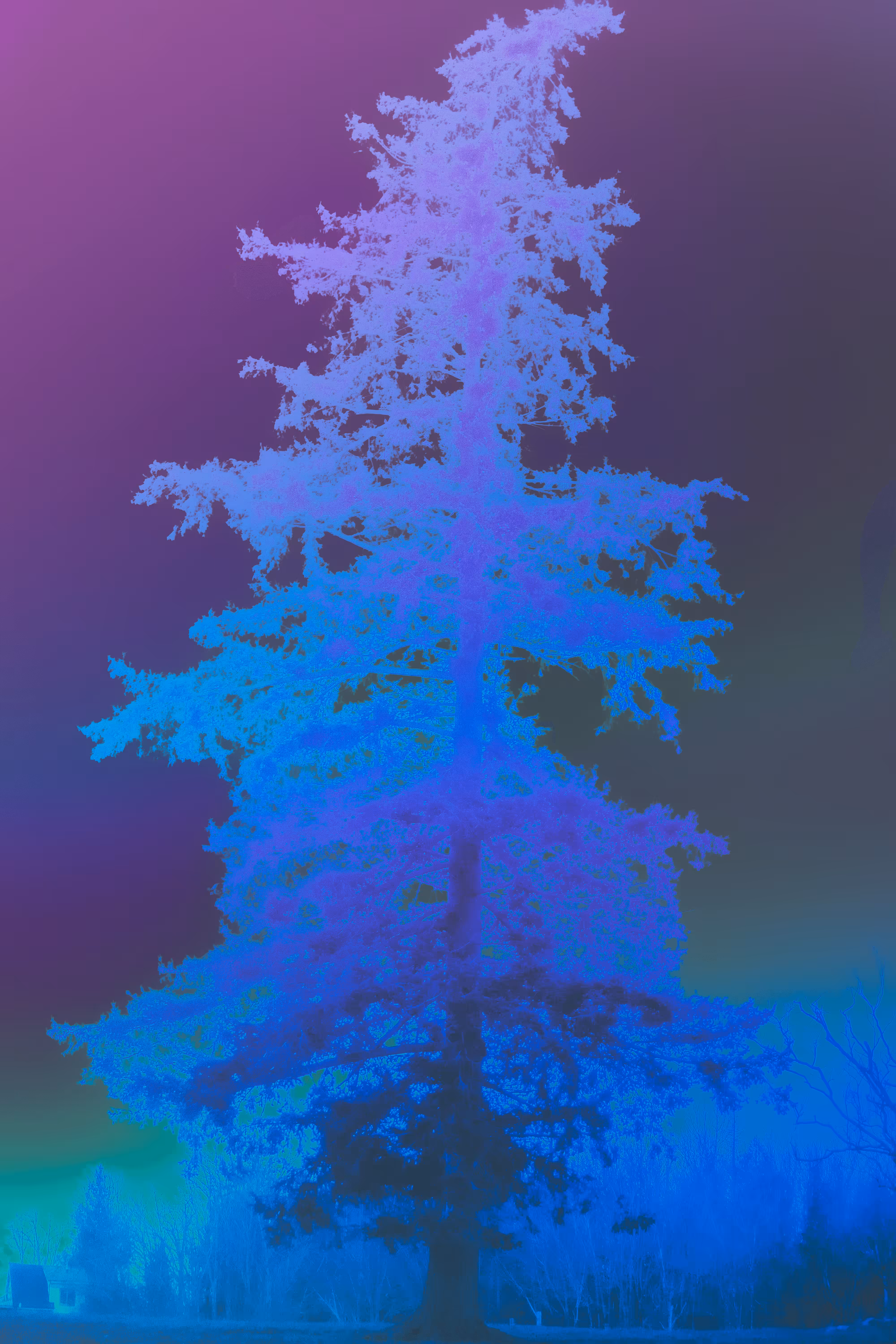 Winter Fantasy #09